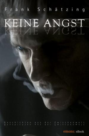 Cover of the book Keine Angst by Carsten Sebastian Henn