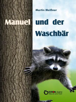 Cover of the book Manuel und der Waschbär by Annegret Templin