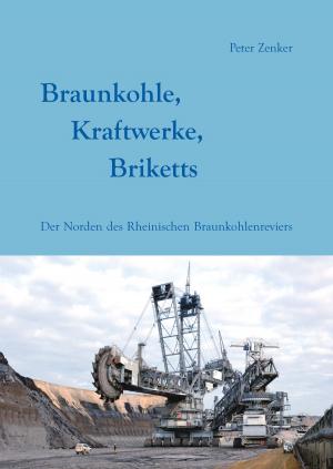 Cover of the book Braunkohle, Kraftwerke, Briketts by Manfred Pfaff