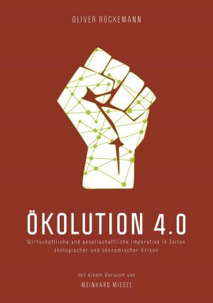 Cover of the book Ökolution 4.0 by Frances Horibe