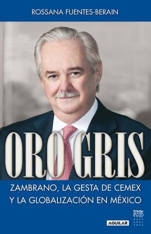 Cover of the book Oro gris by Homero Aridjis