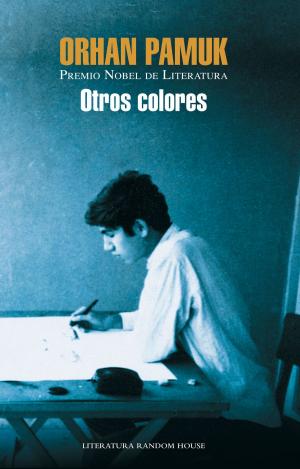 Cover of the book Otros colores by Natalia Junquera
