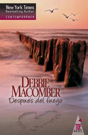 Cover of the book Después del fuego by Christine Rimmer