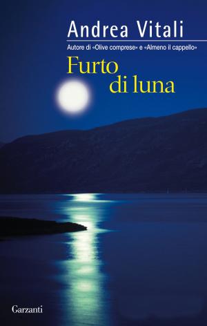 Book cover of Furto di luna