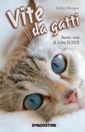 Cover of the book Vite da gatti by Sir Steve Stevenson