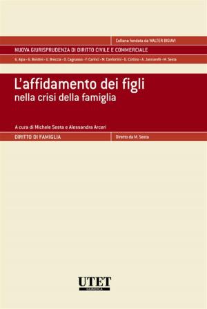 Cover of the book L'affidamento dei figli nella crisi della famiglia by Marcello Adriano Mazzola