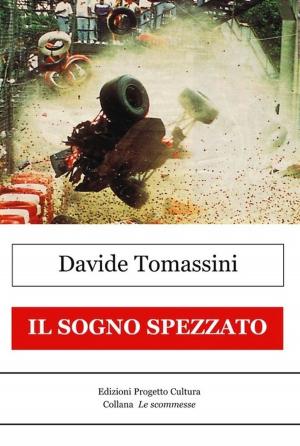 Cover of the book Il sogno spezzato by Vittorio Pavoncello, Silvia cutrera