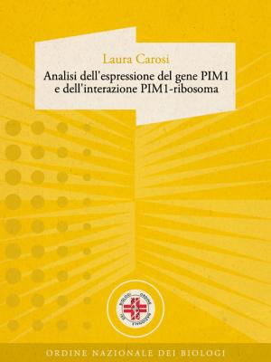 Cover of Analisi dell'espressione del gene PIM1 e dell'interazione PIM1-ribosoma