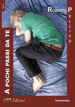 Cover of the book A pochi passi da te by Claudia Del Prete