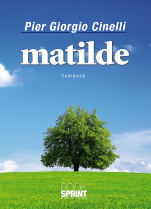 Cover of the book Matilde by Erika Merisio