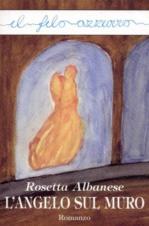 Cover of the book L'angelo sul muro by Paolo Azzimondi