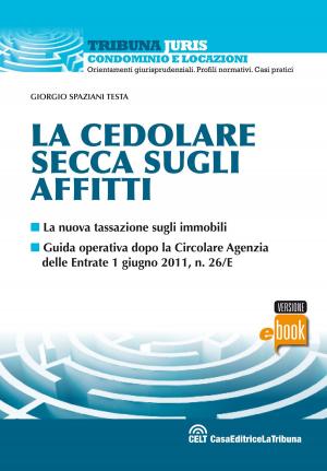 Cover of La cedolare secca sugli affitti