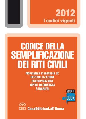 Cover of the book Codice della semplificazione dei riti civili by Francesco Bartolini