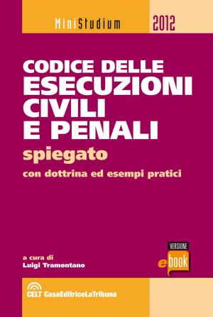 Cover of the book Codice delle esecuzioni civili e penali spiegato by Luigi Tramontano