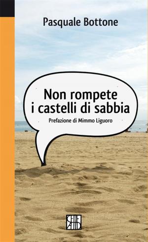 Cover of the book Non rompete i castelli di sabbia by Valentina Bertuzzi