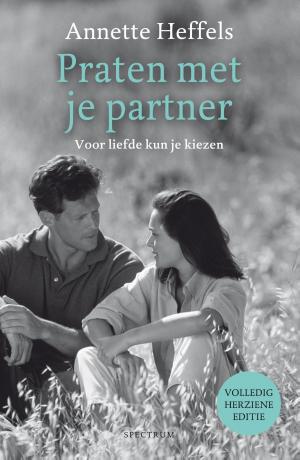 Cover of the book Praten met je partner by Vivian den Hollander