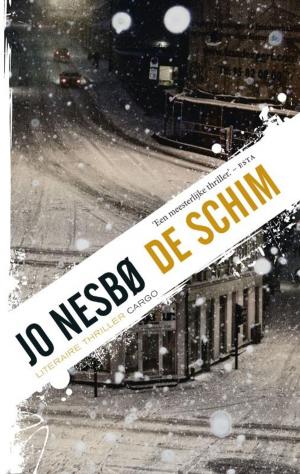 Cover of the book De schim by Youp van 't Hek