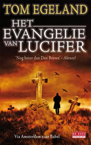 Cover of the book Het evangelie van Lucifer by Arthur Japin