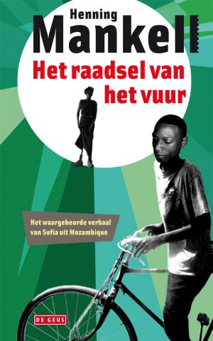 Cover of the book Het raadsel van het vuur by Hanneke Hendrix