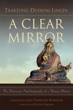 Cover of the book A Clear Mirror by Drubwang Tsoknyi Rinpoche, Marcia Binder Schmidt