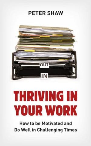 Cover of the book Thriving in Your Work by Neil Humphreys