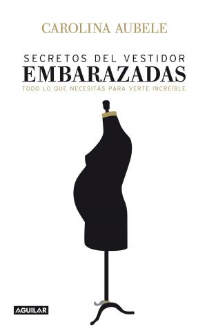 Cover of the book Secretos del vestidor para embarazadas by María Negroni