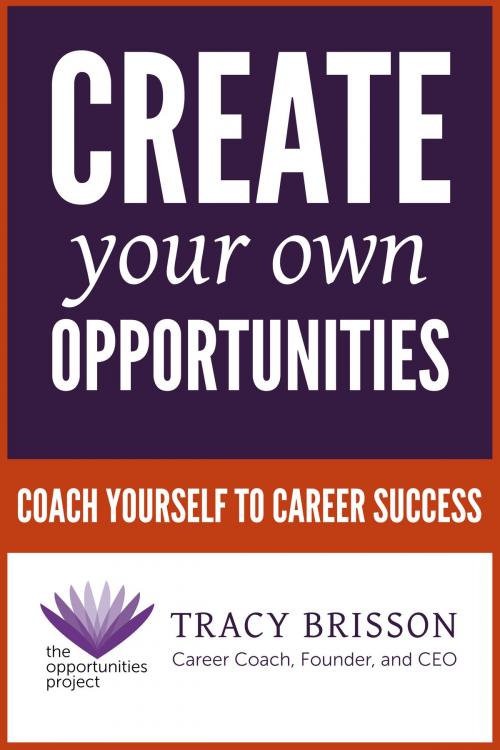 Cover of the book Create Your Own Opportunities by Tracy Brisson, SEAM Publishing