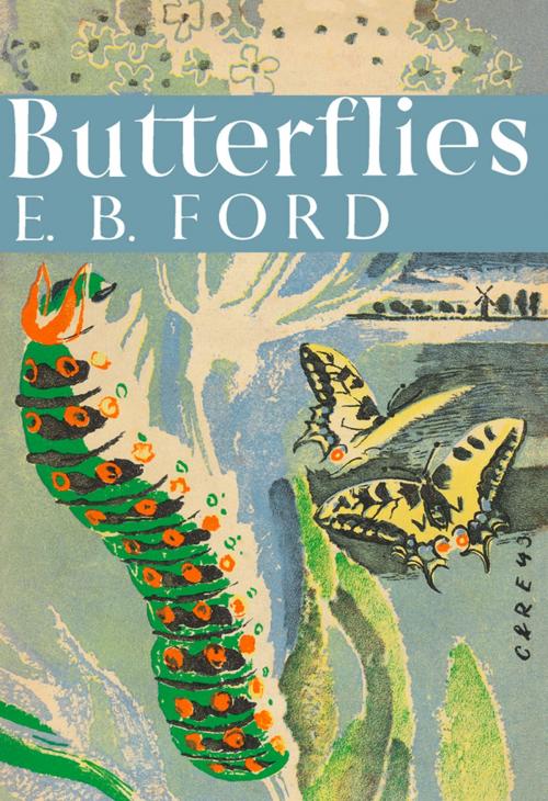 Cover of the book Butterflies (Collins New Naturalist Library, Book 1) by E. B. Ford, HarperCollins Publishers