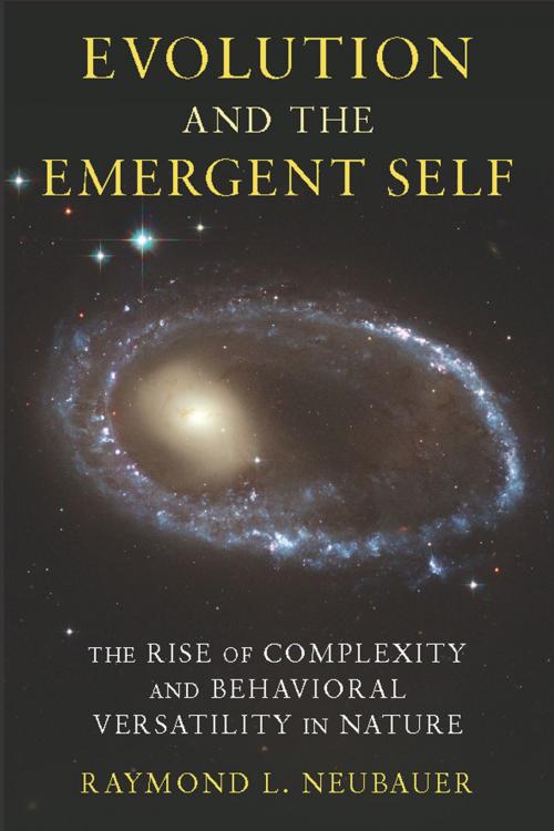 Cover of the book Evolution and the Emergent Self by Raymond Neubauer, Columbia University Press