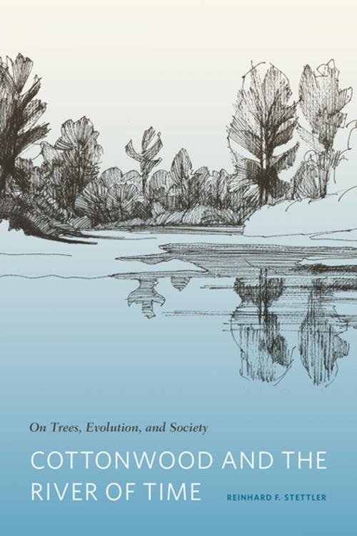 Cover of the book Cottonwood and the River of Time by Reinhard F. Stettler, University of Washington Press