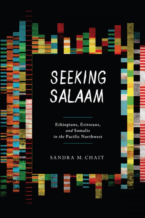 Cover of the book Seeking Salaam by Sandra M. Chait, University of Washington Press