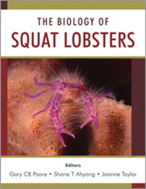 Cover of the book The Biology of Squat Lobsters by , CSIRO PUBLISHING