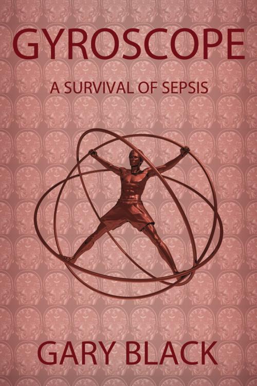 Cover of the book Gyroscope: A Survival of Sepsis by Gary Black, Infinity Publishing