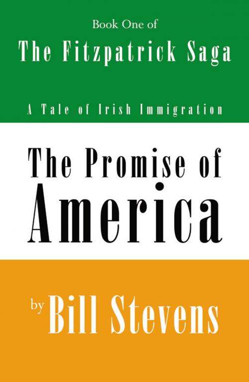 Cover of the book The Promise of America Book 1: The Fitzpatrick Saga by Bill Stevens, Infinity Publishing