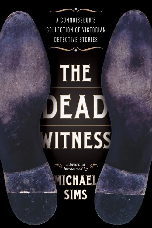Cover of the book The Dead Witness by Michael Sims, Bloomsbury Publishing