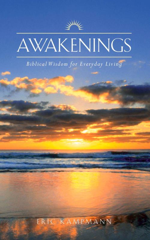 Cover of the book Awakenings by Eric Kampmann, Beaufort Books