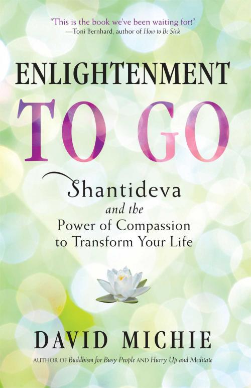 Cover of the book Enlightenment to Go by David Michie, Wisdom Publications