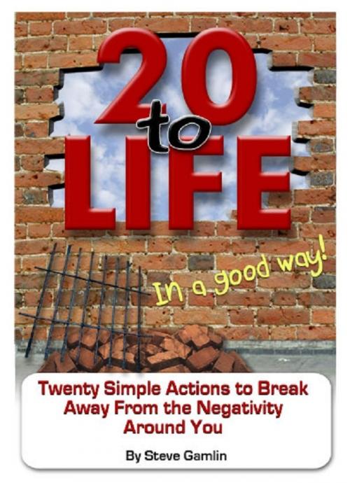 Cover of the book 20 to Life (In a Good Way) by Steve Gamlin, Steve Gamlin