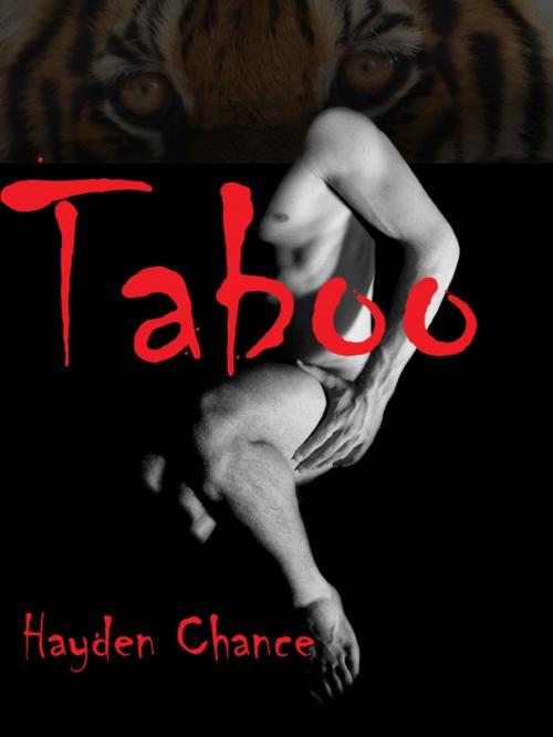 Cover of the book Taboo by Hayden Chance, Dorje, Inc
