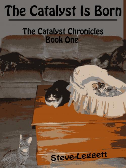 Cover of the book The Catalyst is Born: The Catalyst Chronicles - Book One by Steve Leggett, Steve Leggett