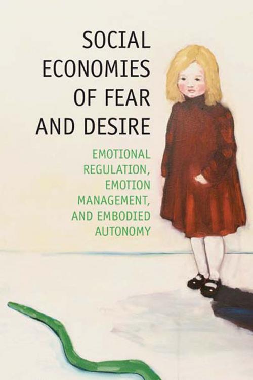 Cover of the book Social Economies of Fear and Desire by V. Nicol, Palgrave Macmillan US