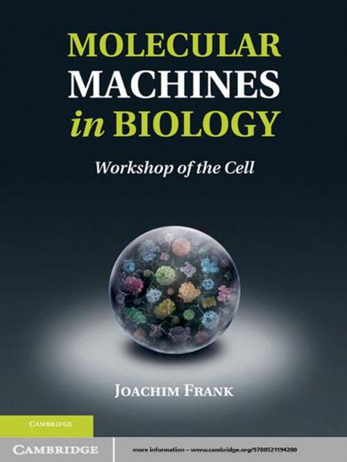 Cover of the book Molecular Machines in Biology by , Cambridge University Press
