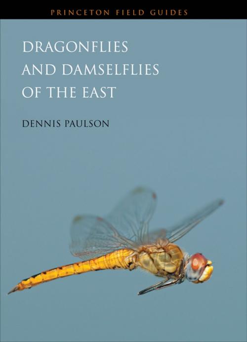 Cover of the book Dragonflies and Damselflies of the East by Dennis Paulson, Princeton University Press