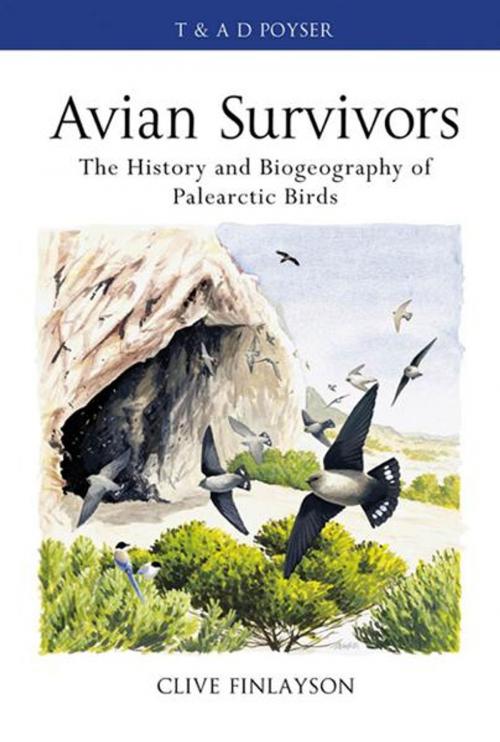 Cover of the book Avian survivors by Prof. Clive Finlayson, Bloomsbury Publishing