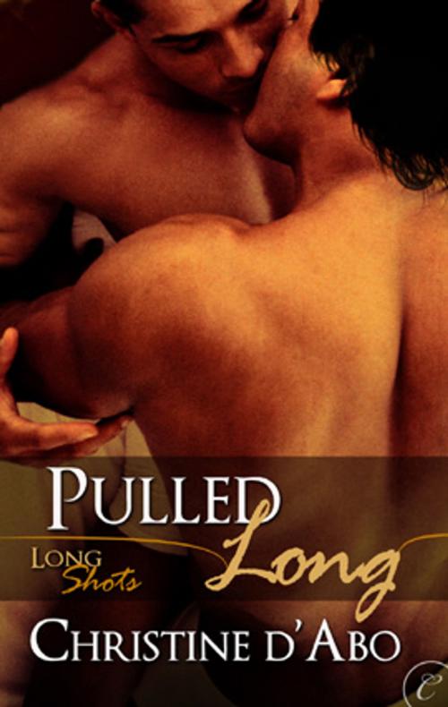 Cover of the book Pulled Long by Christine d'Abo, Carina Press