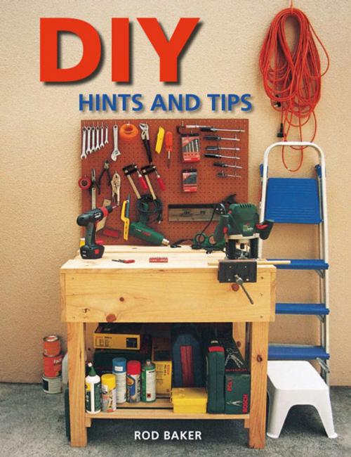 Cover of the book DIY Hints & Tips by Rod Baker, Penguin Random House South Africa
