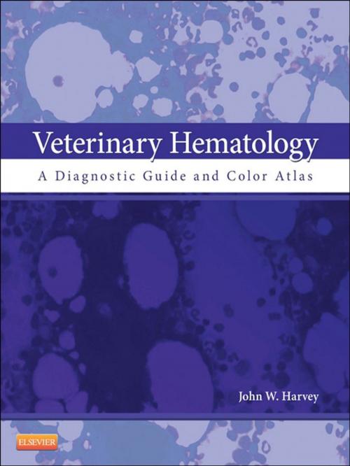 Cover of the book Veterinary Hematology - E-Book by John W. Harvey, DVM, PhD, DACVP, Elsevier Health Sciences