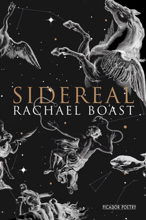 Cover of the book Sidereal by Rachael Boast, Pan Macmillan