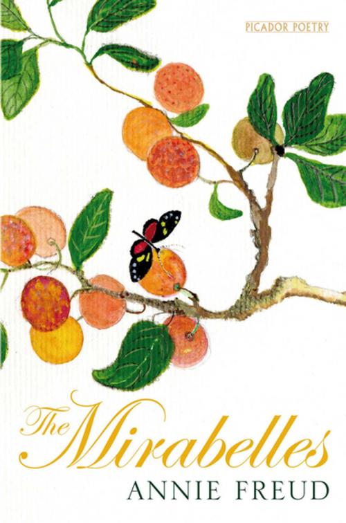 Cover of the book The Mirabelles by Annie Freud, Pan Macmillan