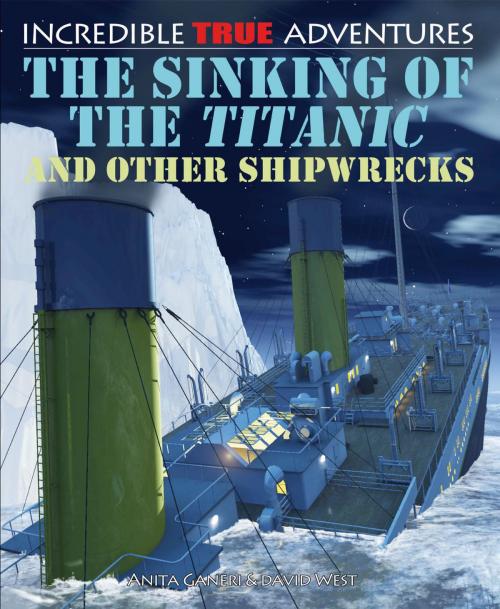 Cover of the book The Sinking of the Titanic and Other Shipwrecks by David West, Anita Ganeri, The Rosen Publishing Group, Inc